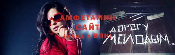 мдпв Михайлов