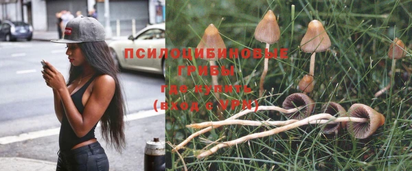 СК Михайловка