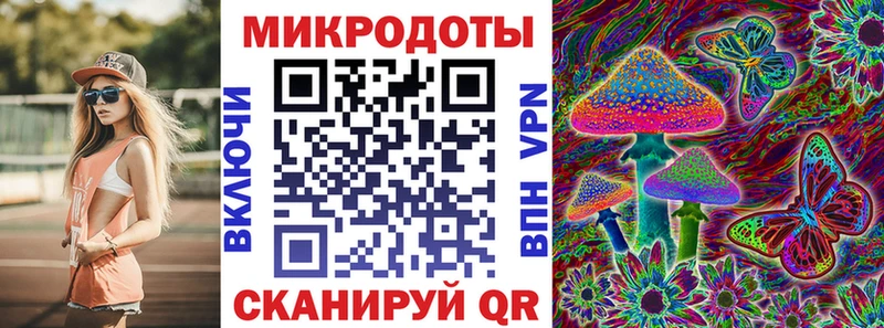 shop какой сайт  Новоульяновск  Псилоцибиновые грибы MAGIC MUSHROOMS 